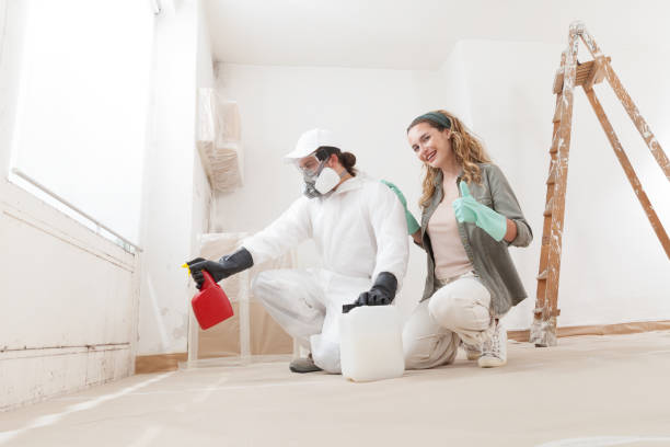 Professional Mold Removal in Gatesville, TX